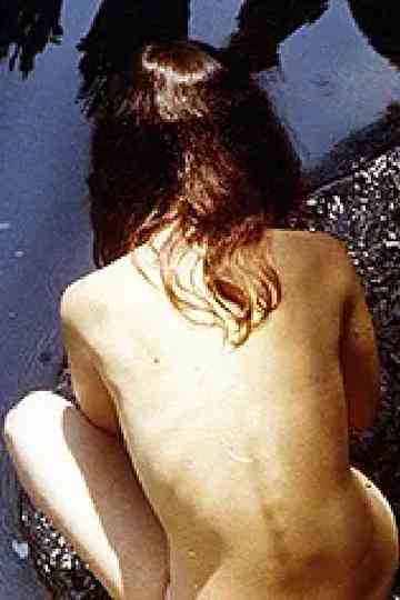 False Pretenses poster