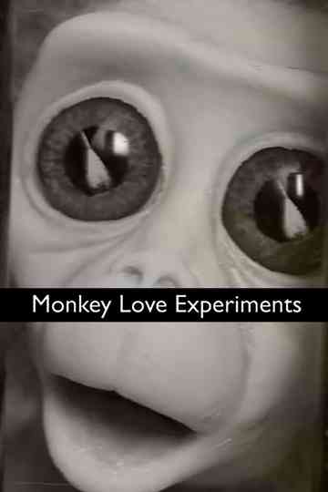 Monkey Love Experiments Poster