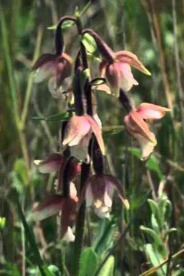 National Parks Necessarly Poster