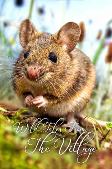 Wild Tales From The Village Poster