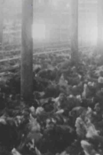 Rhode Island Red Poster