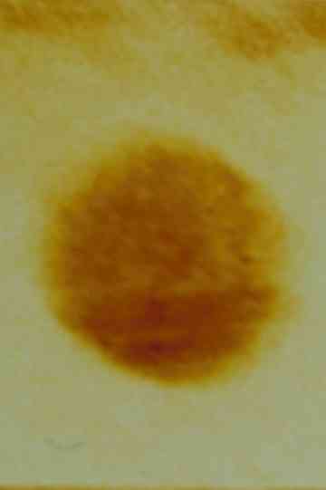 Arabic Numeral Series 2 poster