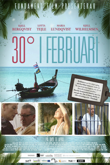 30 Degrees in February Poster