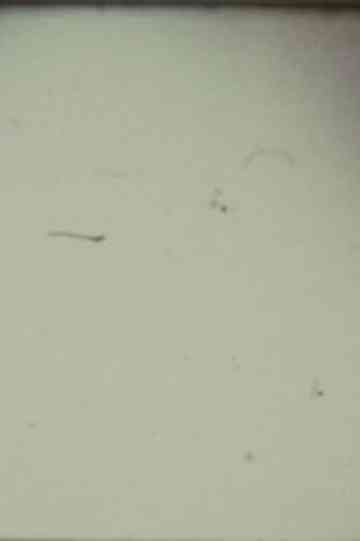 Arabic Numeral Series 13 poster