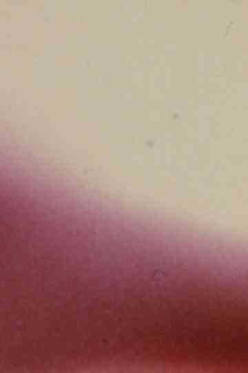 Arabic Numeral Series 17 Poster