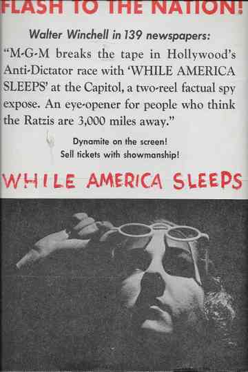 While America Sleeps Poster