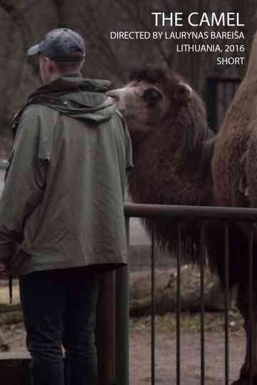 The Camel Poster