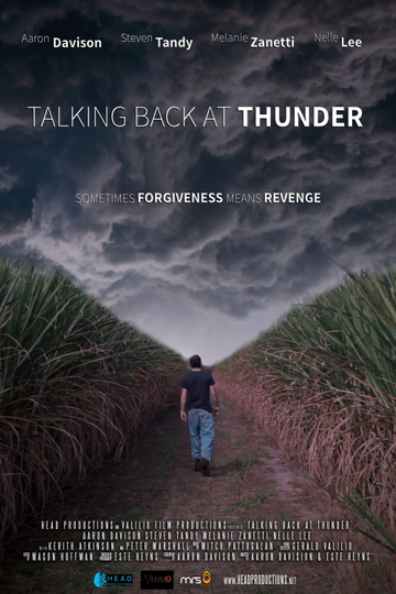 Talking Back at Thunder Poster