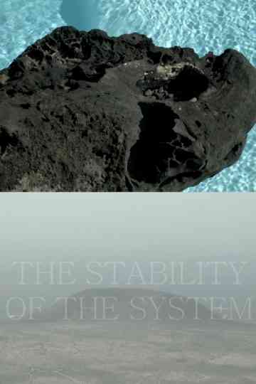THE STABILITY OF THE SYSTEM Poster