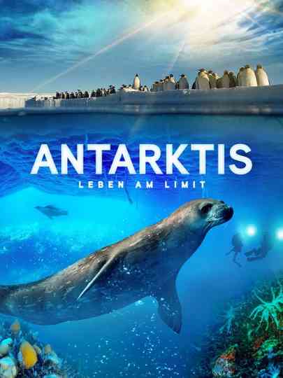 Antarktis  Leben am Limit Poster