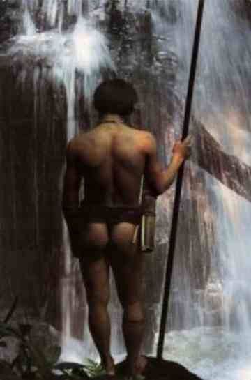 Tong Tana  En resa till Borneos inre Poster