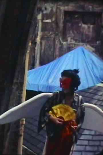 Butterfly Experiment Poster