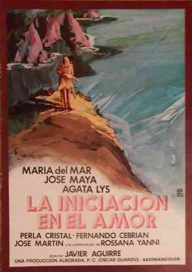 La iniciación en el amor Poster