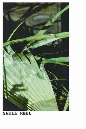 Spell Reel Poster