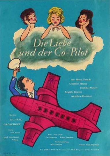 Die Liebe und der CoPilot Poster