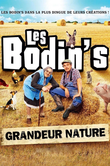 Les Bodins  Grandeur Nature Zenith de Limoges Poster