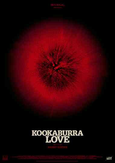 Kookaburra Love Poster