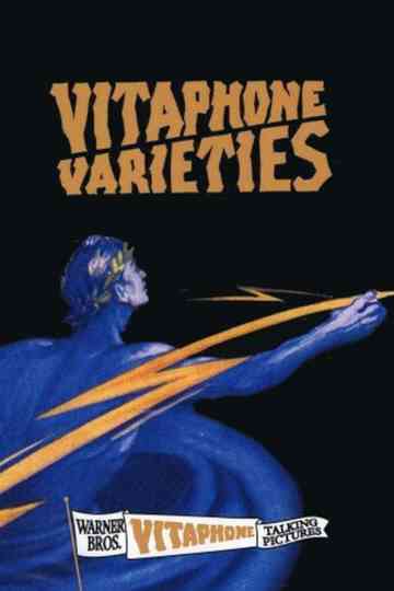 Niagara Falls Poster