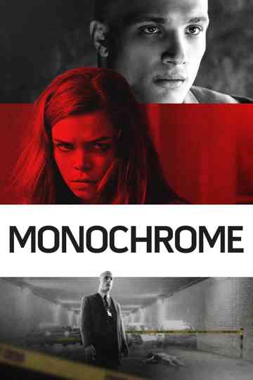 Monochrome Poster