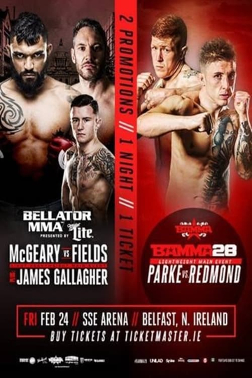 Bellator 173 McGeary vs McDermott Poster