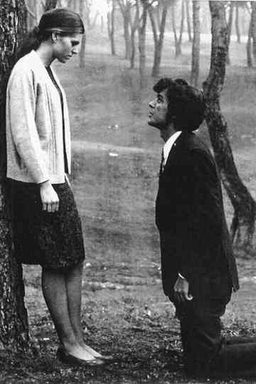 Bolero de amor Poster