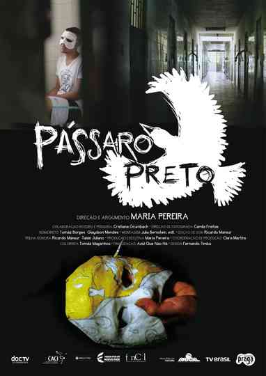 Pássaro preto Poster
