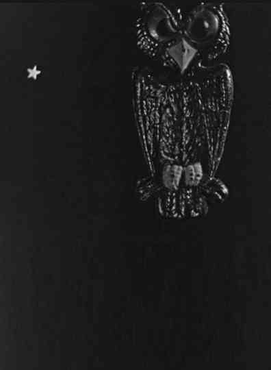 The Spider and the Fly Poster