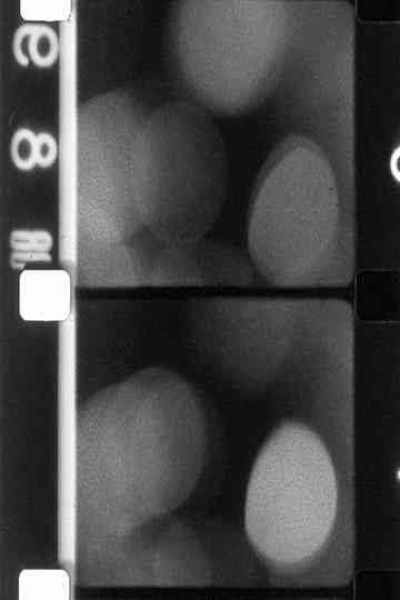 Certaines Observations Poster