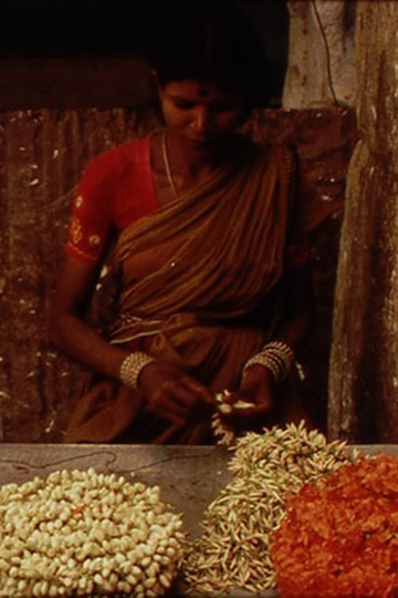 A Depression in the Bay of Bengal