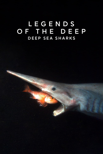 Legends of the Deep Deep Sea Sharks