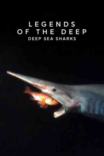 Legends of the Deep Deep Sea Sharks Poster