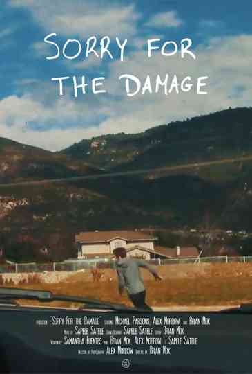 Sorry For the Damage Poster