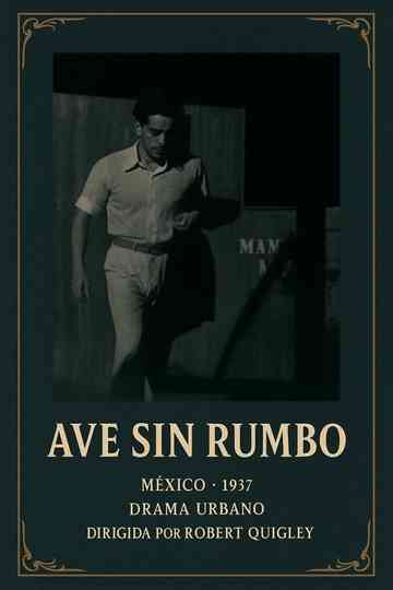 Ave sin rumbo Poster