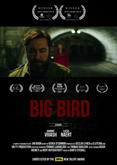 Big Bird Poster