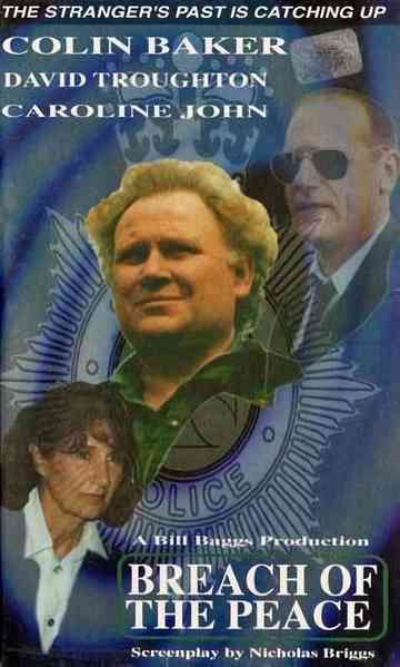 The Stranger: Breach of the Peace poster