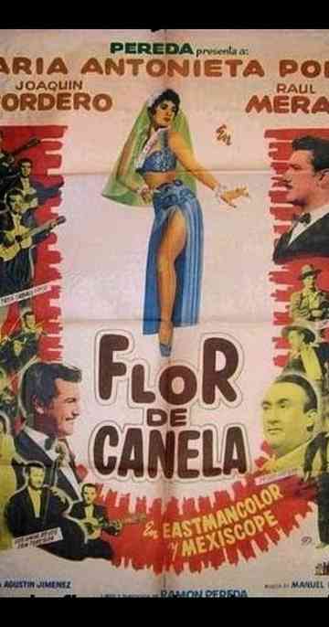 Flor de canela Poster