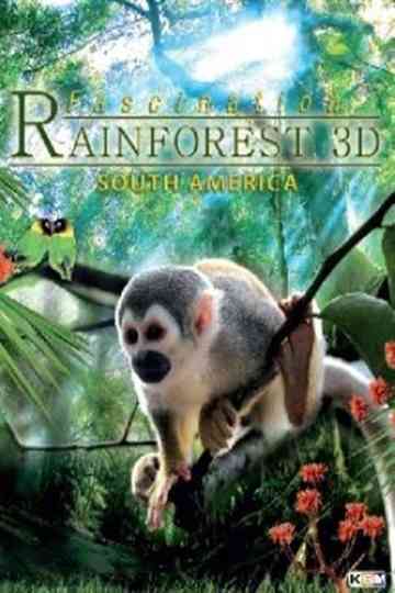 Fascination Rainforest 3D Poster