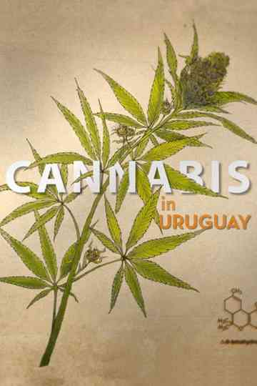Cannabis in Uruguay Poster