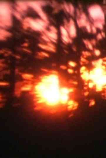 Light from the Mesa Poster