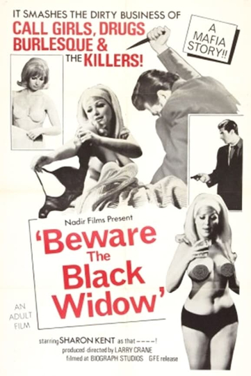 Beware the Black Widow Poster