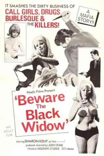 Beware the Black Widow Poster