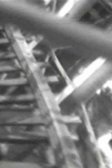 Four Motion Studies Poster