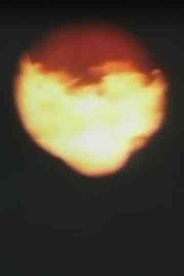 Hjärtat brinner Poster