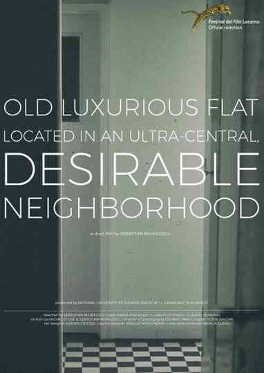 Old Luxurious Flat Located in an UltraCentral Desirable Neighborhood Poster