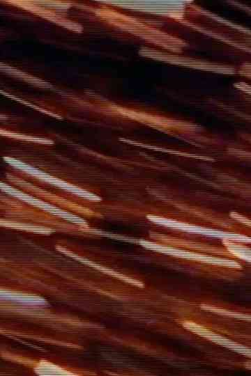 Ritual by Rote Poster