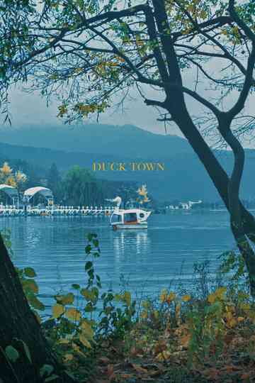 Duck Town Poster