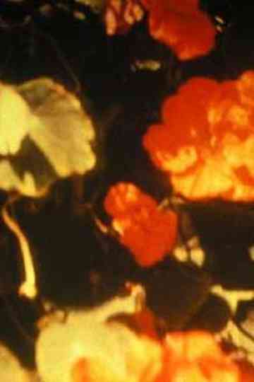 Hymn in Praise of the Sun Poster