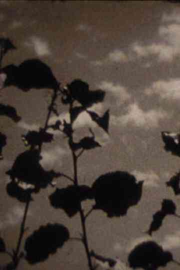 The Season's Change Poster