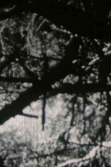 Crépuscule aux Aresquiers Poster