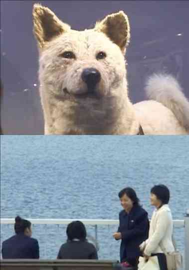 I Have No Memory of My Direction Poster